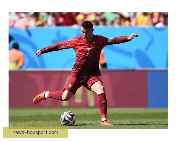 BOB体育登录入口指南与平台功能体验全解析助你畅享赛事互动平台新玩法