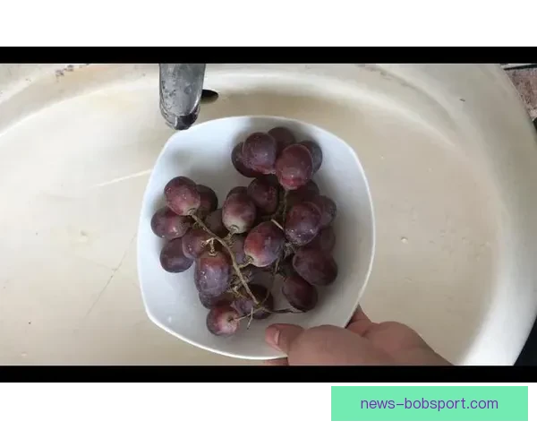 世界杯足球竞猜盘口规律深度解析与实战投注策略技巧全面指南